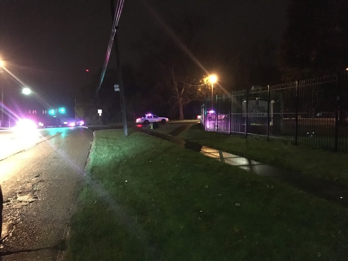 Man found hiding in tree after fleeing Dayton police    