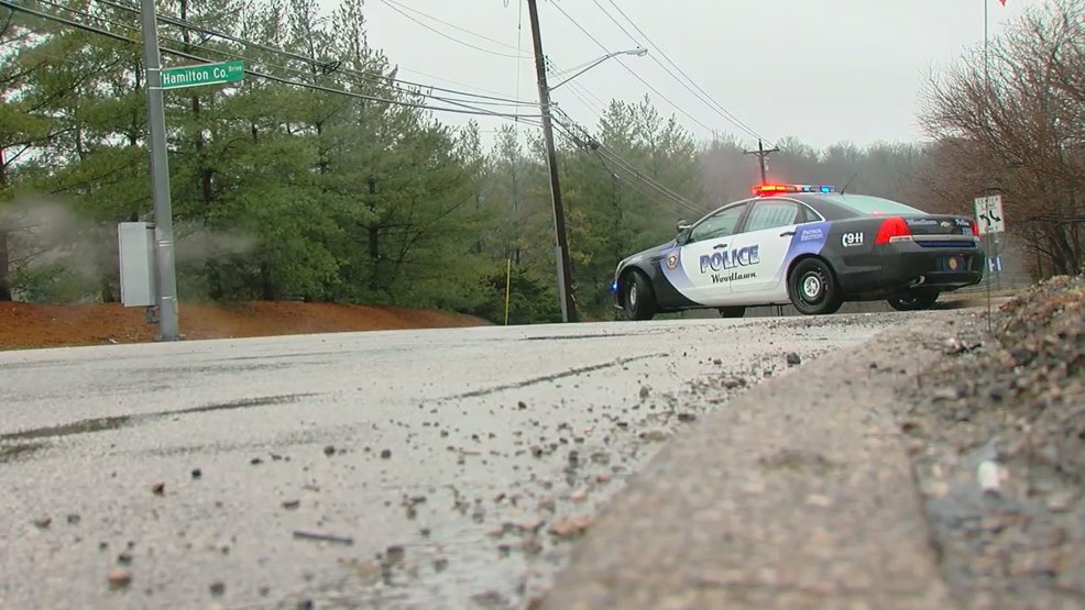 1 seriously injured after tree falls on vehicle in Springfield Township
