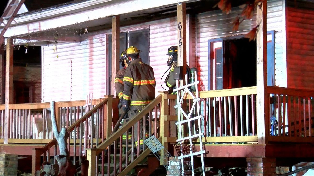 13 dogs killed in south Toledo fire