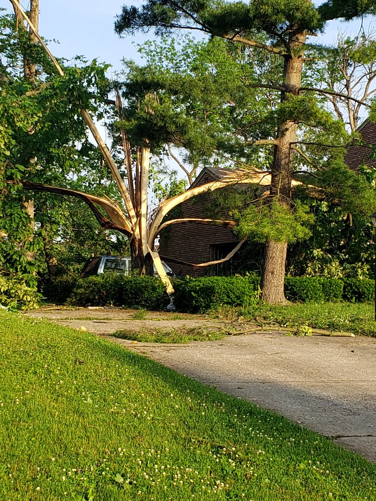 Daytime view of tornado damage in Dayton, Ohio. Area is also without power.