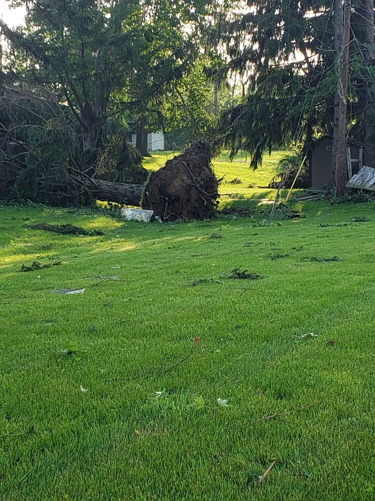 Daytime view of tornado damage in Dayton, Ohio. Area is also without power.