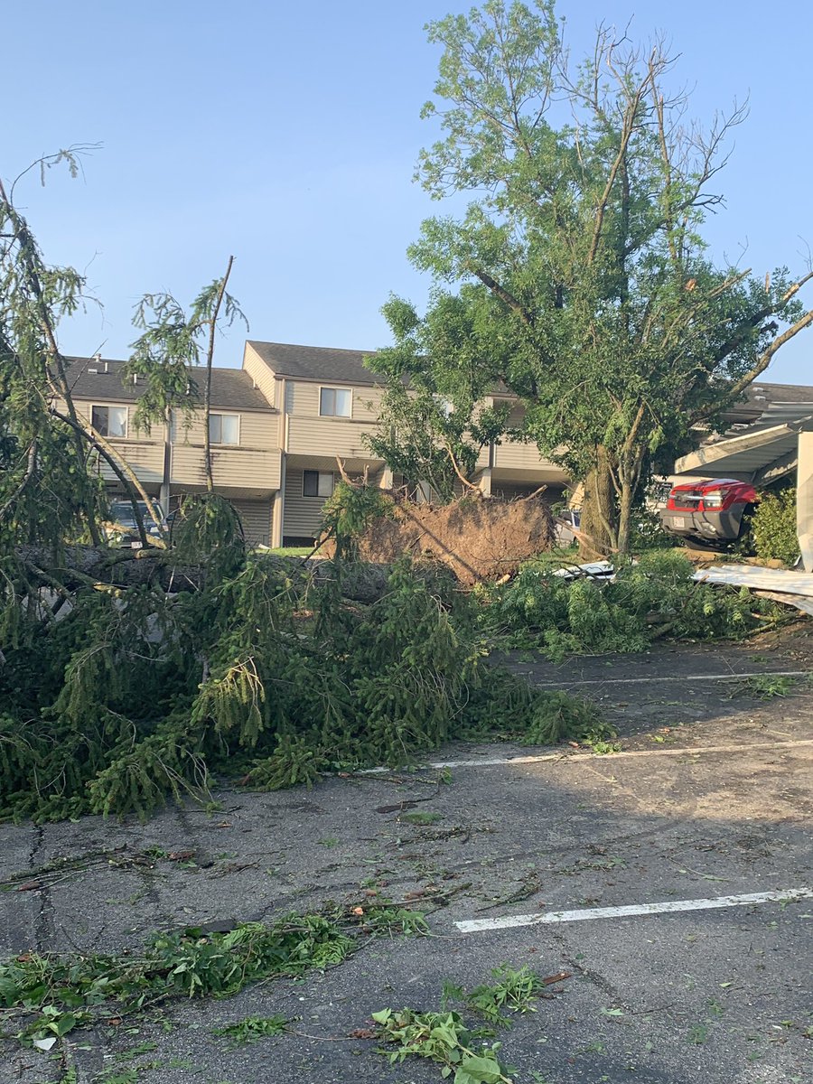 Apartment complex after the tornado in dayton. several cars destroyed, big trees completely knocked over.   dayton 