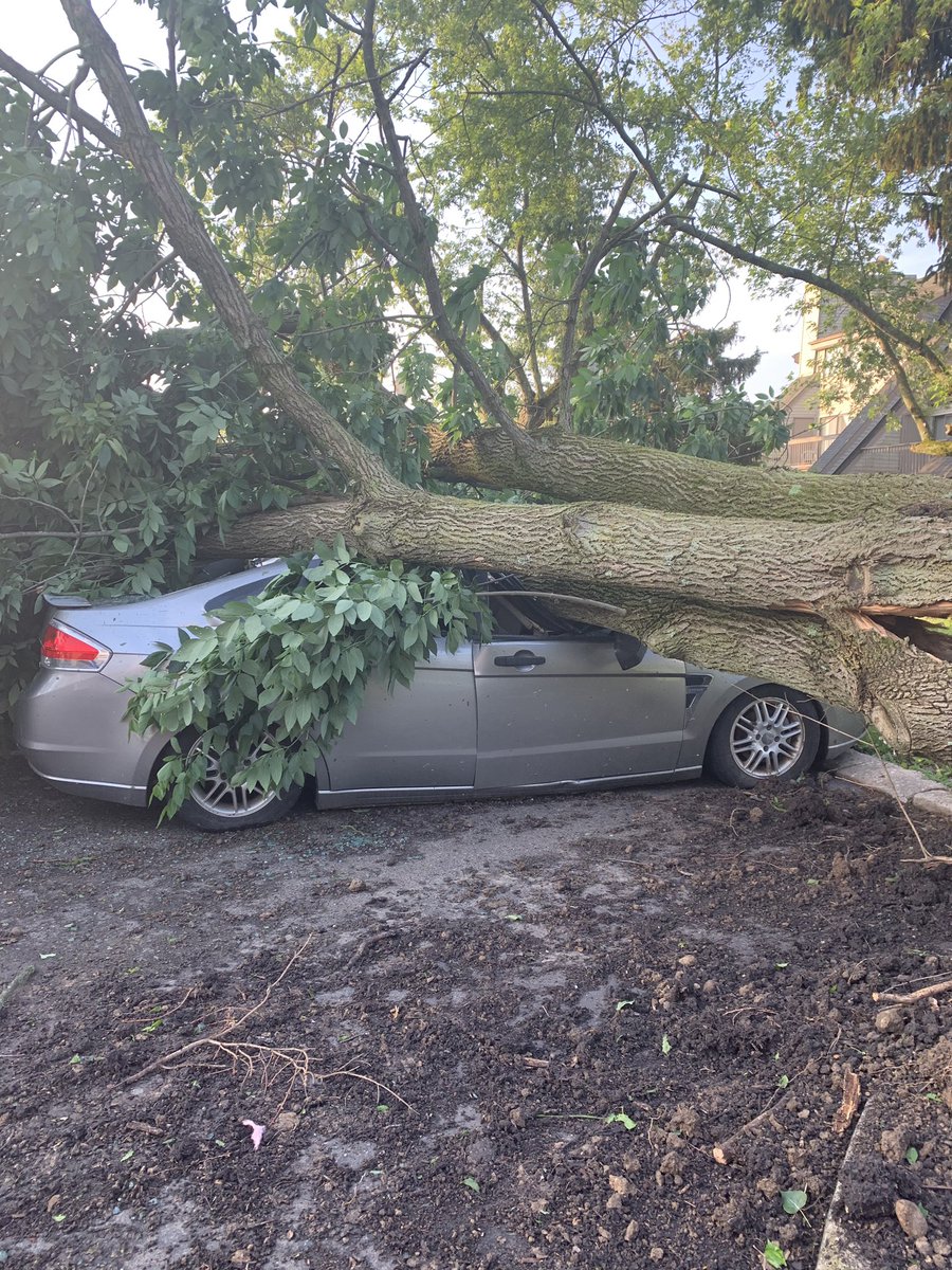 Apartment complex after the tornado in dayton. several cars destroyed, big trees completely knocked over.   dayton 