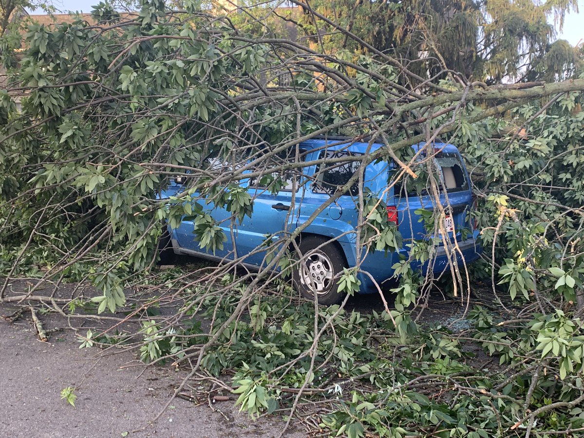 Apartment complex after the tornado in dayton. several cars destroyed, big trees completely knocked over.   dayton 