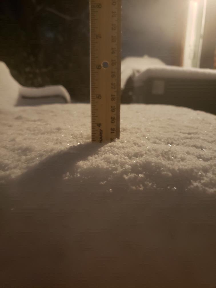 Snow Total from Pleasant Run Farm: 3 