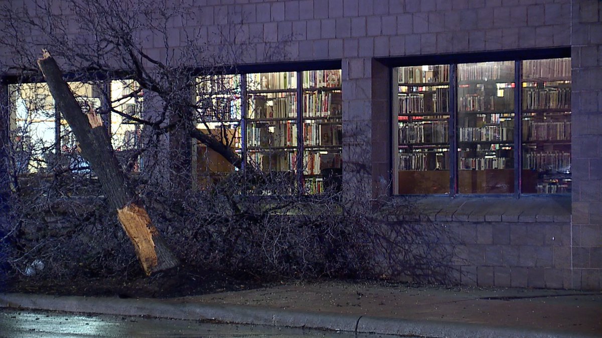 Truck took out a tree and sent it into the South Brooklyn Branch of the Cuyahoga County Library at State and Pearl Road