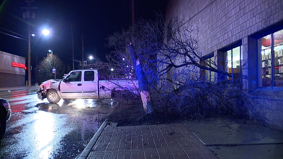 Truck took out a tree and sent it into the South Brooklyn Branch of the Cuyahoga County Library at State and Pearl Road
