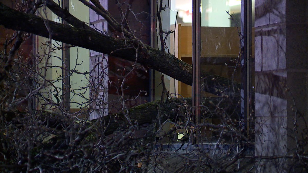 Truck took out a tree and sent it into the South Brooklyn Branch of the Cuyahoga County Library at State and Pearl Road
