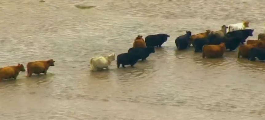 Massive flooding in Eastern Ohio after severe weather hits the area. More than 300,000 homes and businesses are without power as a weather system blamed for five deaths in the South moved into the northeastern United States