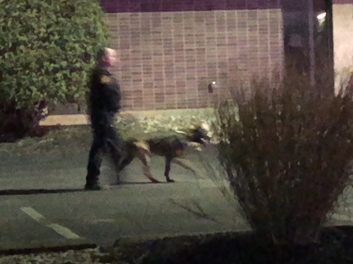 Hamilton Co sheriff's deputies and K9s on scene of business break in this AM. They're searching for 2 men. 1 who ran off, another who left in a silver minivan.