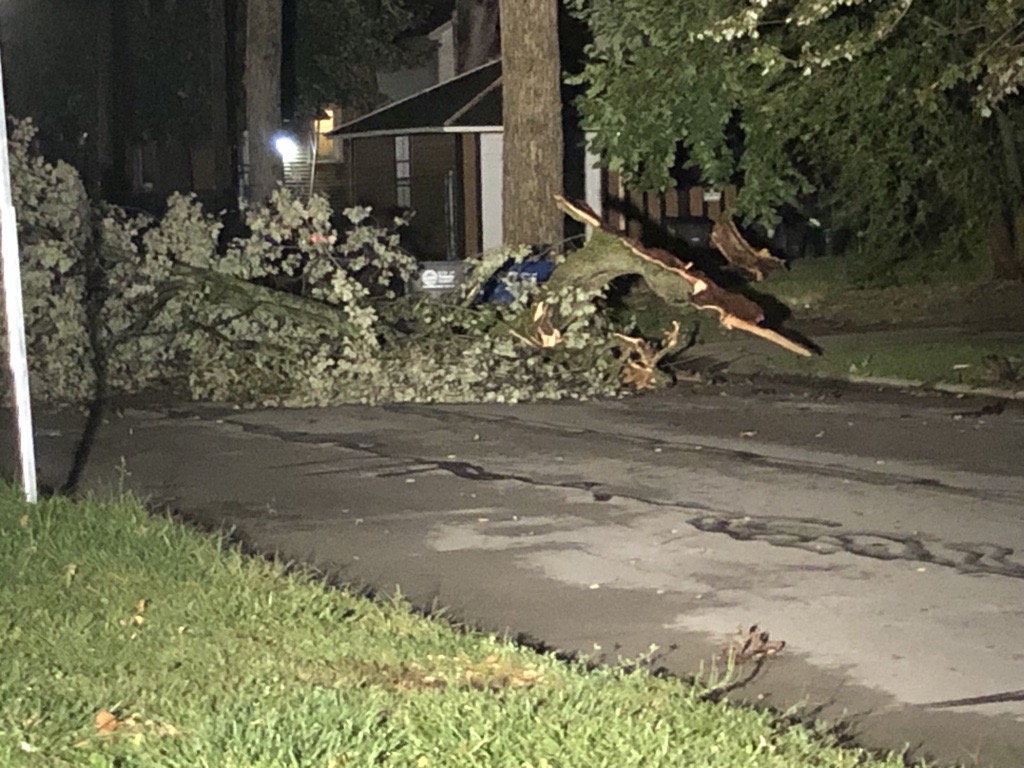 Trees and limbs down over Toledo after Tuesday night's storm. These pictures were taken on Huron and Bush streets.