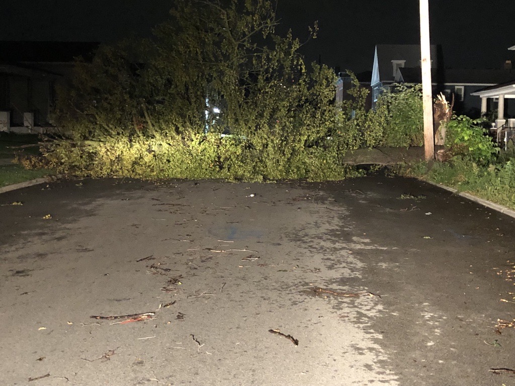 Trees and limbs down over Toledo after Tuesday night's storm. These pictures were taken on Huron and Bush streets.