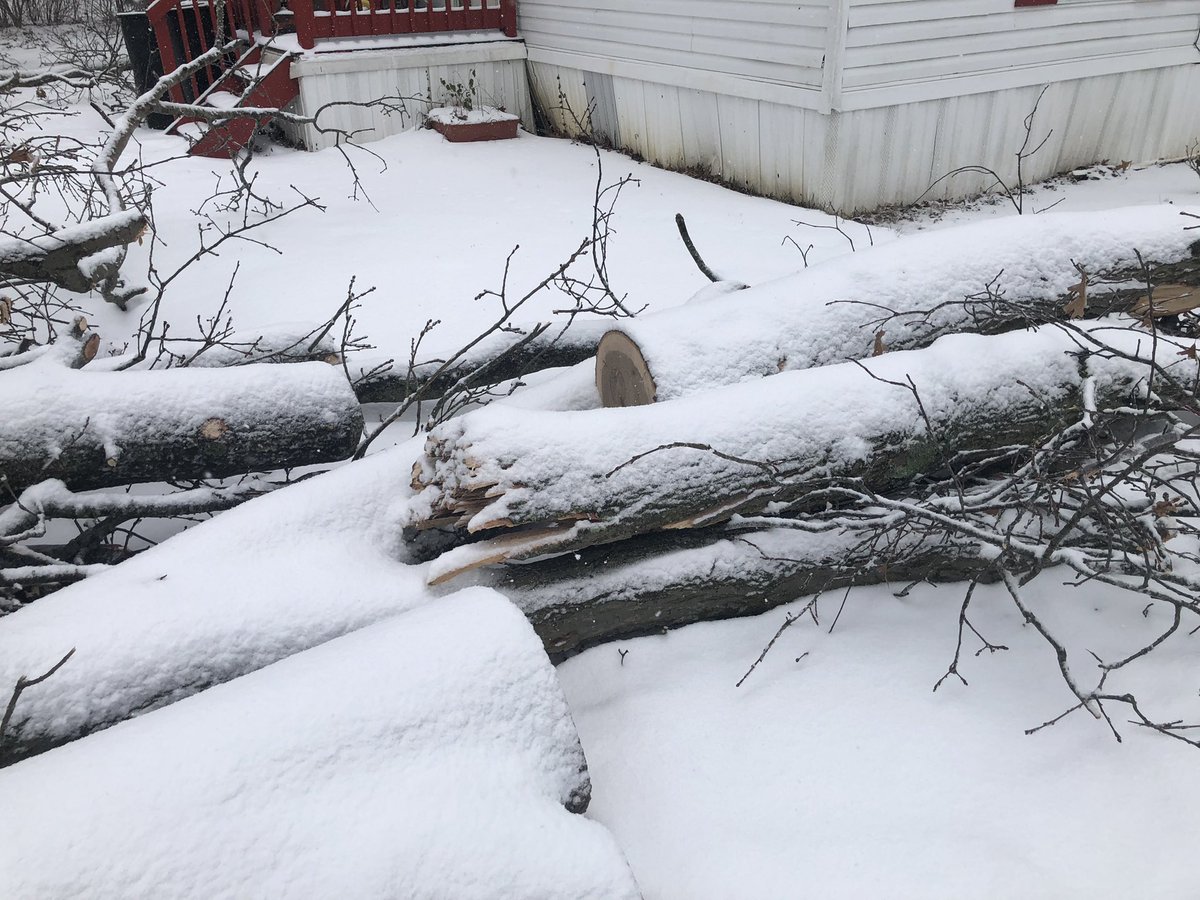 Some of the aftermath caused by this storm. This is at a mobile home in Goshen. A tree fell on top of this mobile home and truck. A neighbor tells everyone made it out safe. Hear from him at noon