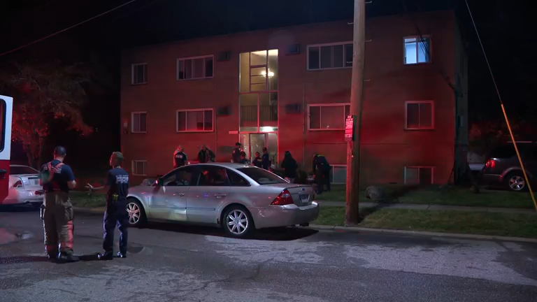 Westwood apartment fire displaces man; pets rescued