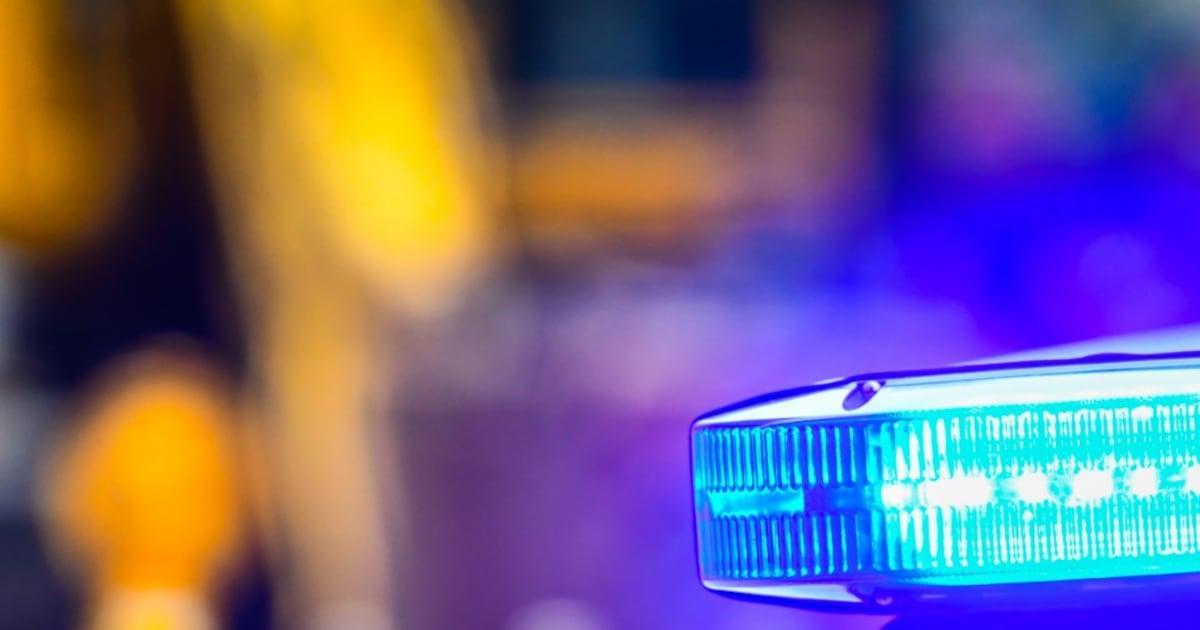 83-year-old woman killed after dog attack; owners cited
